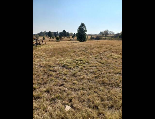 LAND FOR SALE IN RIETFONTEIN